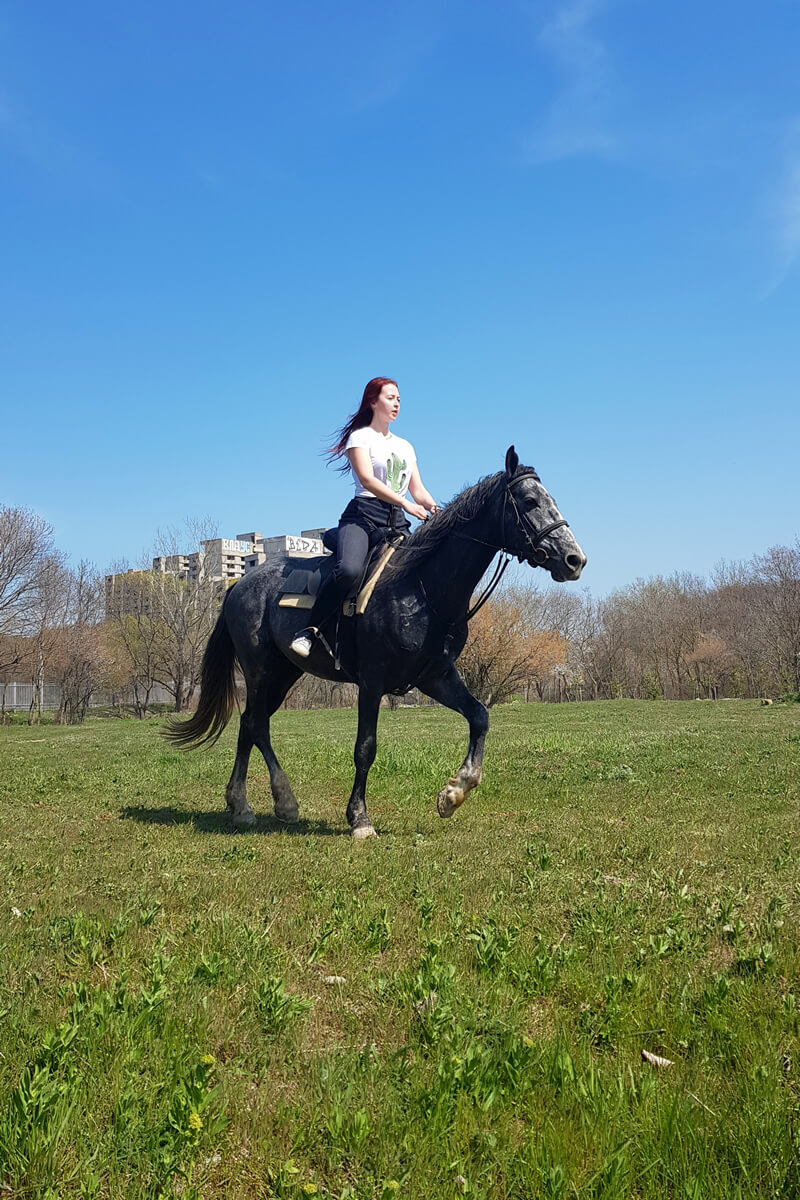 Конные прогулки в Анапе